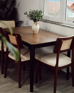 Set di 2 sedie da pranzo EMBAR Legno Marrone