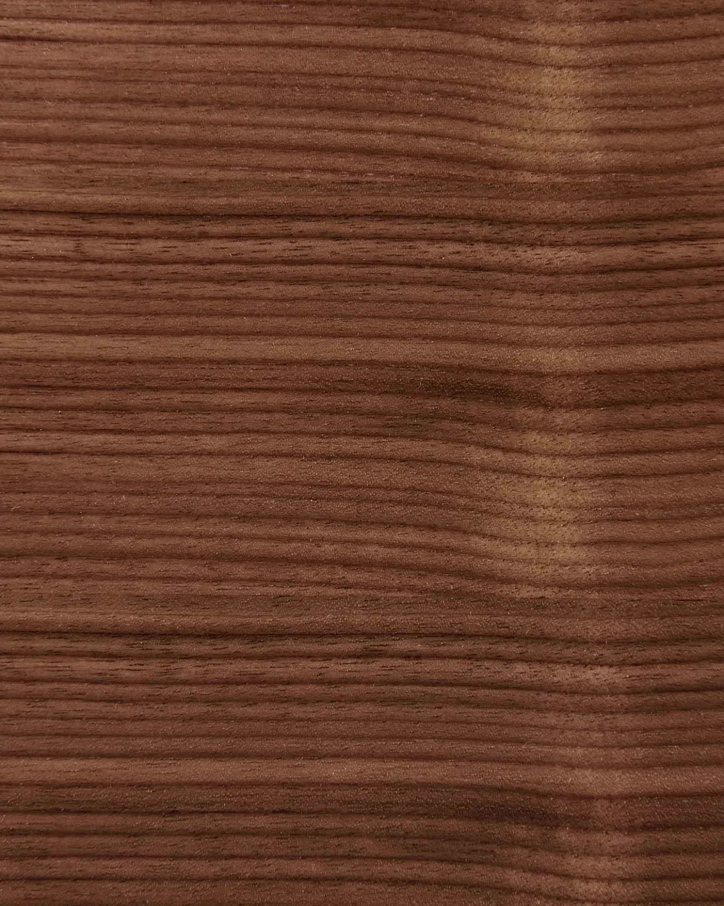 Set di 2 sedie da pranzo LUCINDA Legno Marrone scuro