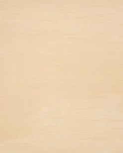 Set di 2 sedie da pranzo PAULINA Legno Marrone chiaro/Beige chiaro