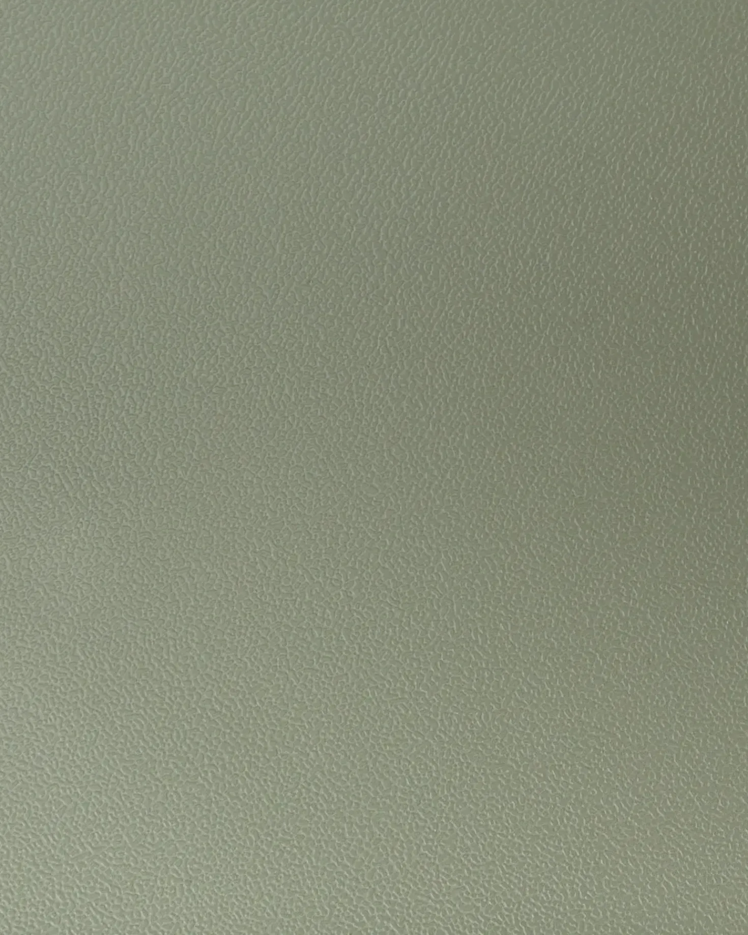 Set di 2 sedie da pranzo SIBLEY Verde chiaro