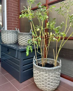 Sale Beliani Set di 3 vasi da fiori in vimini GEFIRA Rattan sintetico (PE) 31/39/49 cm Grigio Bianco Grigio