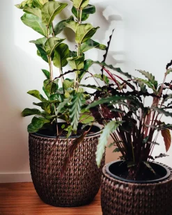 Discount Beliani Set di 3 vasi per piante BERBERIS Rattan sintetico (PE) 34/45 cm scuro Marrone