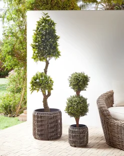Beliani Set di 2 vasi per piante BRODIEA Rattan sintetico (PE) 26/45 cm chiaro Marrone