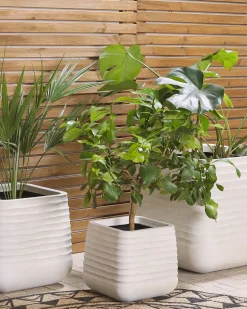 Outlet Beliani Set di 3 vasi per piante PARIKIA 50/38/28 cm Bianco sporco Bianco Grigio