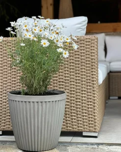 Discount Beliani Set di 2 vasi per piante POKA 36 cm Tortora Grigio