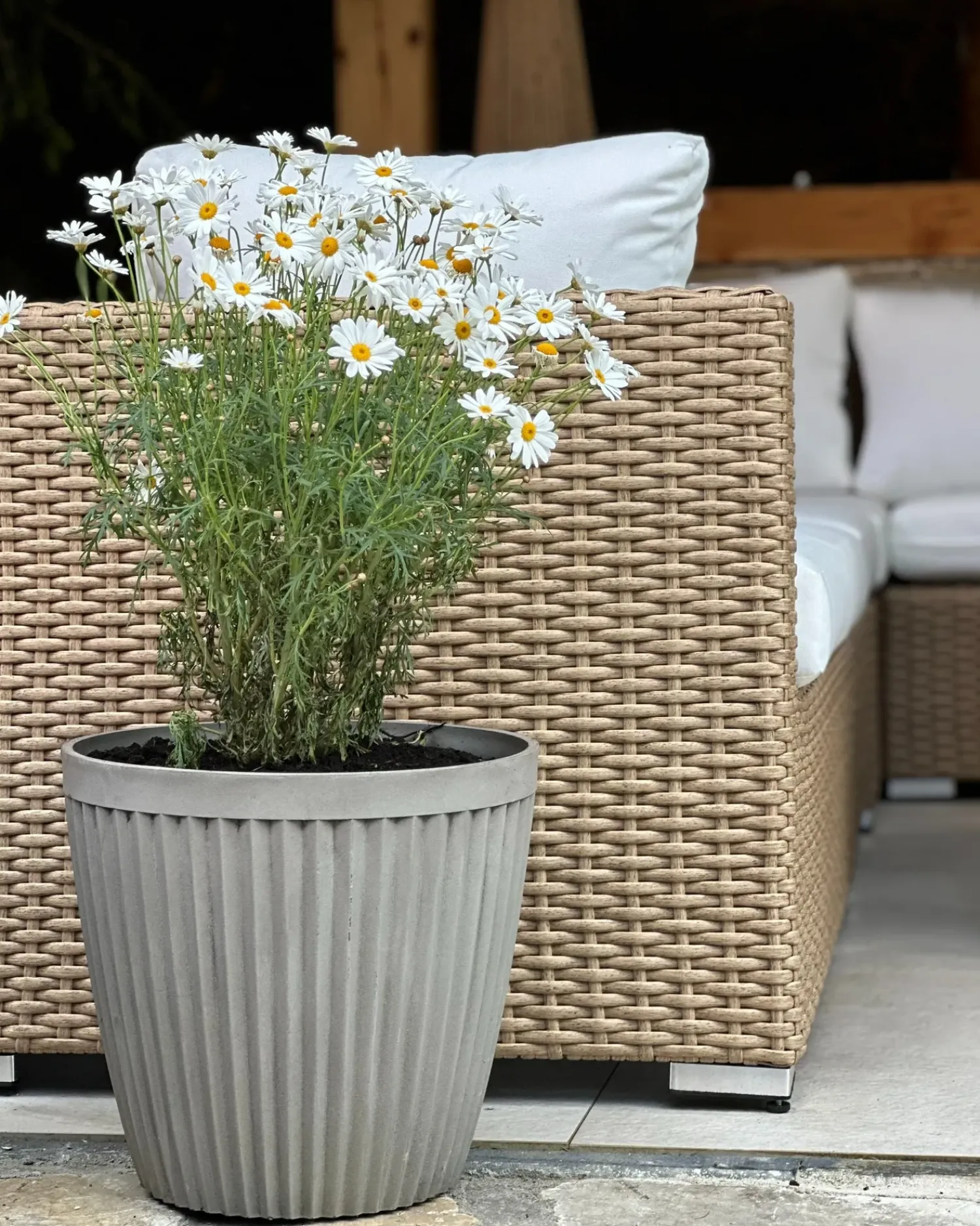 Discount Beliani Set di 2 vasi per piante POKA 36 cm Tortora Grigio