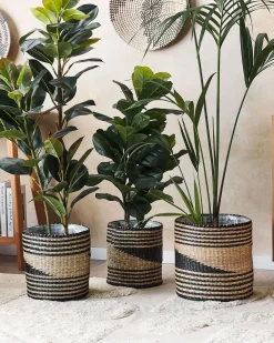 Online Beliani Set di 3 vasi per piante RATTAIL Alghe marine 32/29/27 cm Nero Beige Naturale Nero