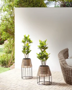 Best Beliani Set di 2 vasi rialzati per piante BORAGO Rattan sintetico (PE) 20/21 cm Naturale Marrone