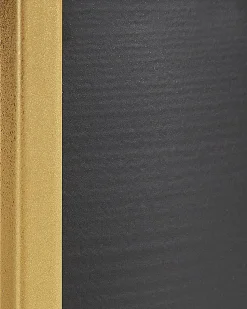 Clearance Beliani Set di 2 vasi rialzati per piante THUJA Metallo 21 cm Nero Oro Nero