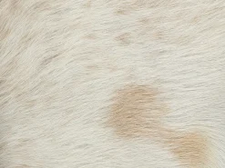 Best Beliani Sgabello KENT Pelle naturale Marrone dorato Beige Marrone