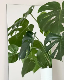 Clearance Beliani Specchio ANGERS 40 cm 60 cm Argento