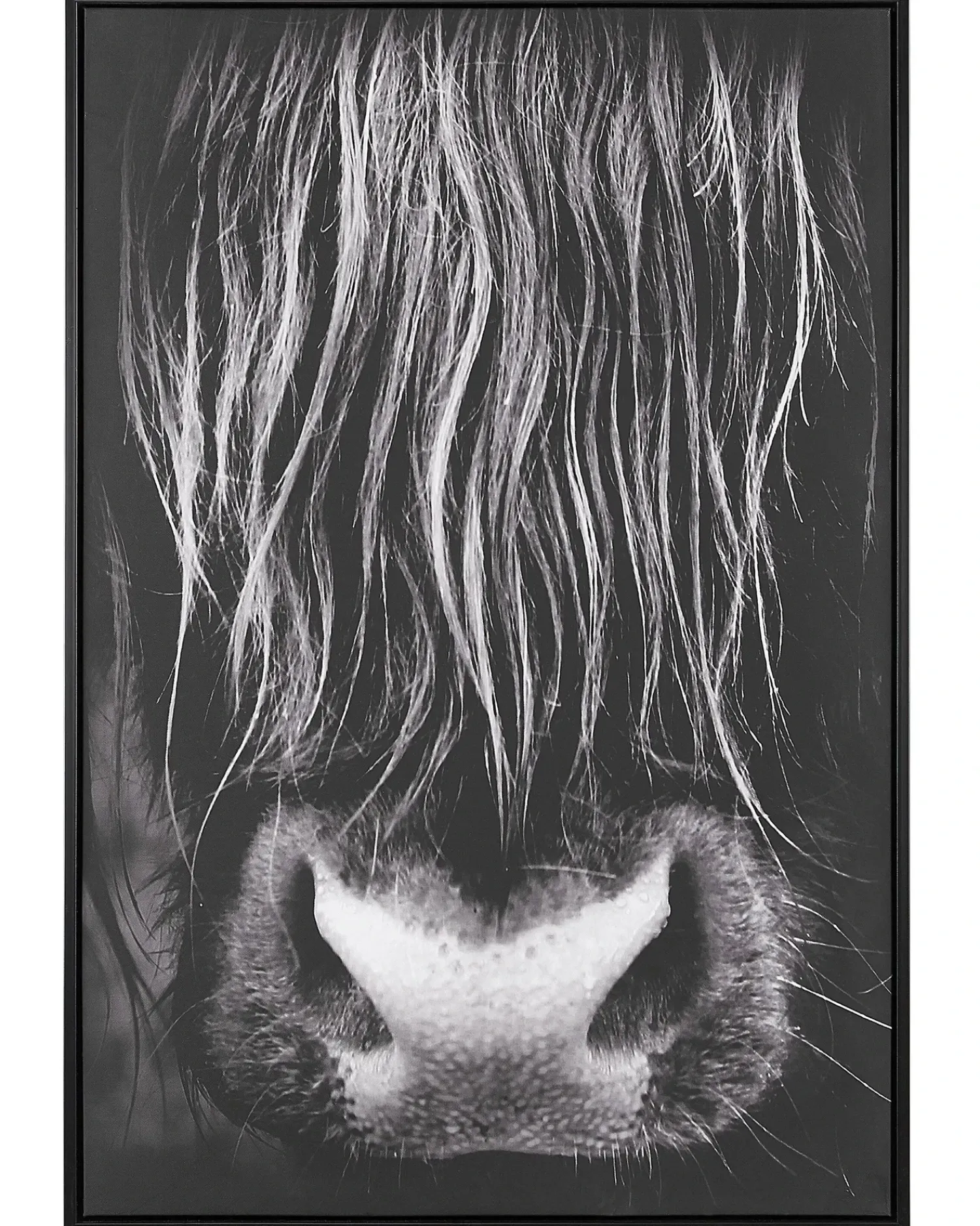 Discount Beliani Stampa su tela GALEATA Motivo animale 63 x 99 cm Nero Bianco Nero