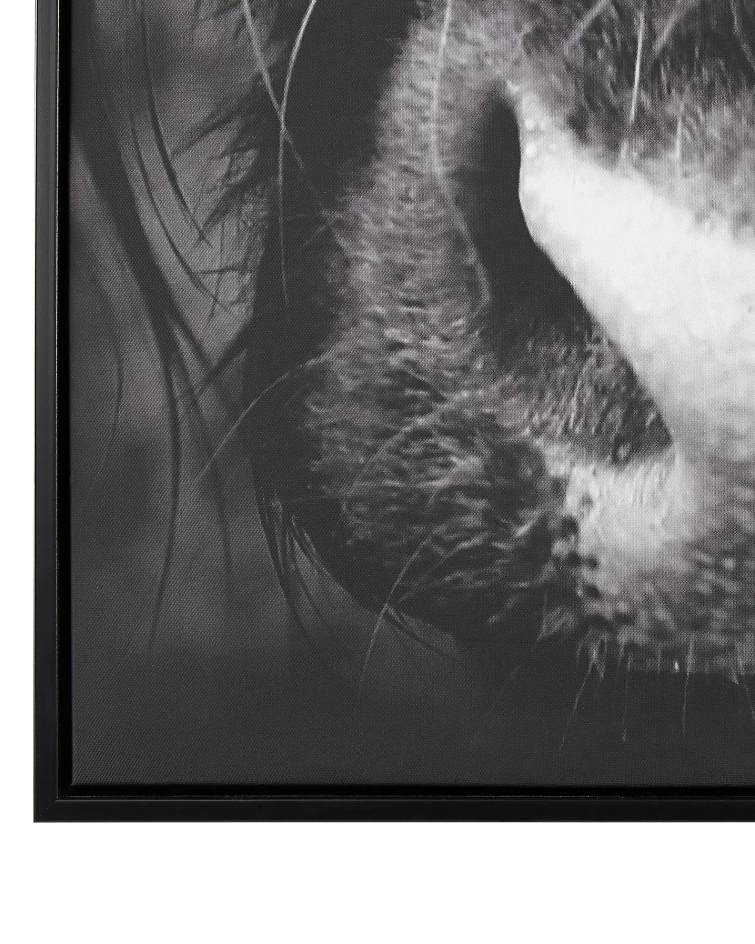 Discount Beliani Stampa su tela GALEATA Motivo animale 63 x 99 cm Nero Bianco Nero