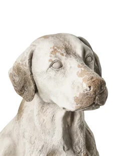 Outlet Beliani Statua da giardino CETONA Cane Beige Bianco Beige