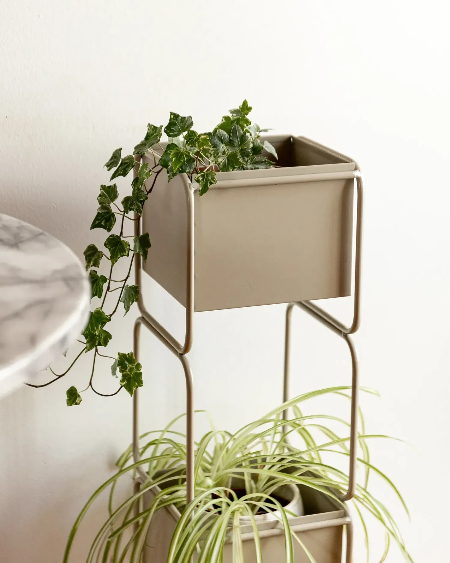 Hot Beliani Supporto per vasi COTINUS Metallo 20 cm Beige