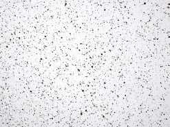 Clearance Beliani Tavolino ANTELAO 37 cm 37 cm Effetto terrazzo Terrazzo Bianco
