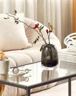 Online Beliani Vaso da fiori FYSKA Vetro 18 cm Grigio scuro Trasparente Grigio