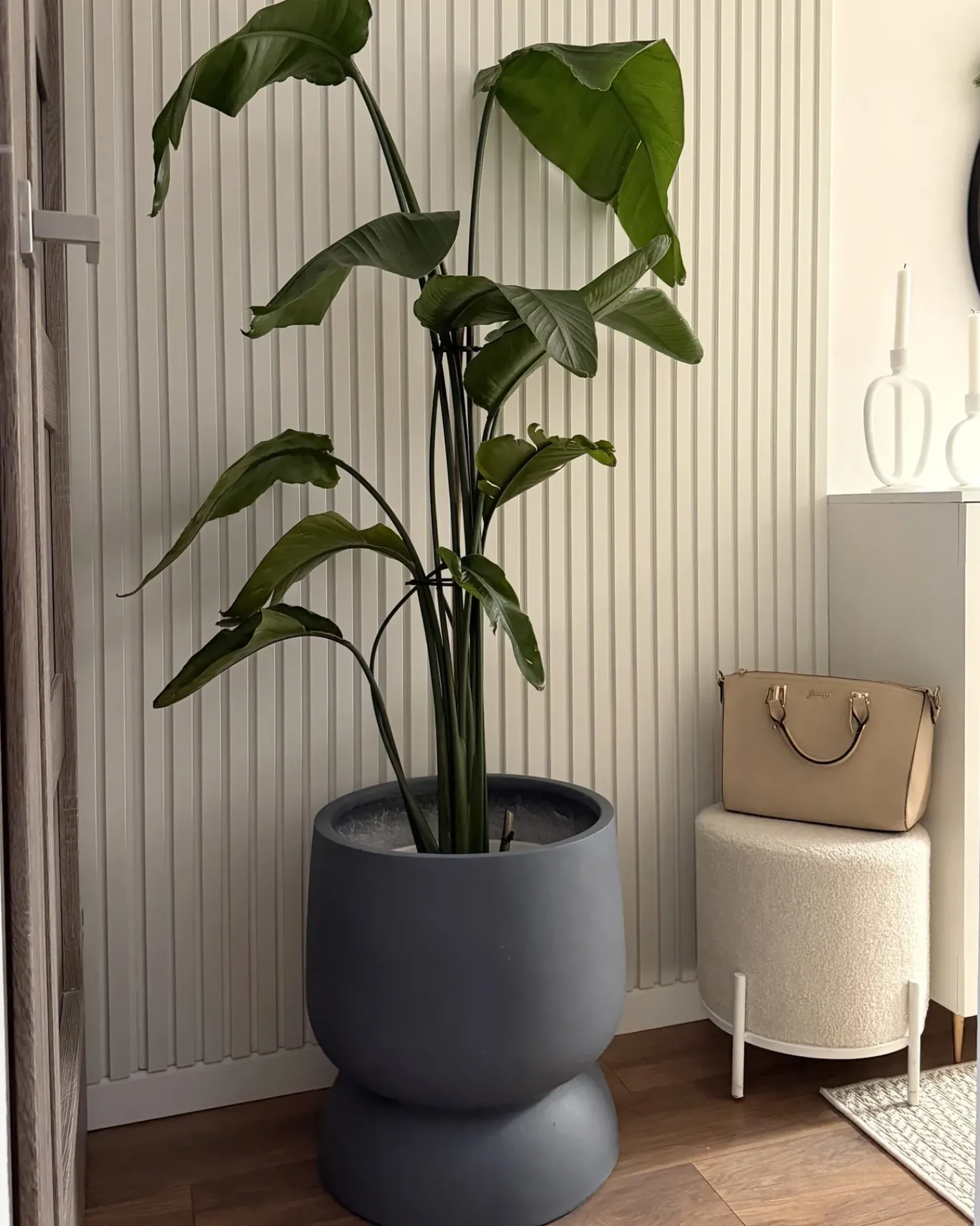 Best Beliani Vaso per piante ARAUCARIA 42 cm Grigio