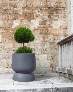 Best Beliani Vaso per piante ARAUCARIA 42 cm Grigio