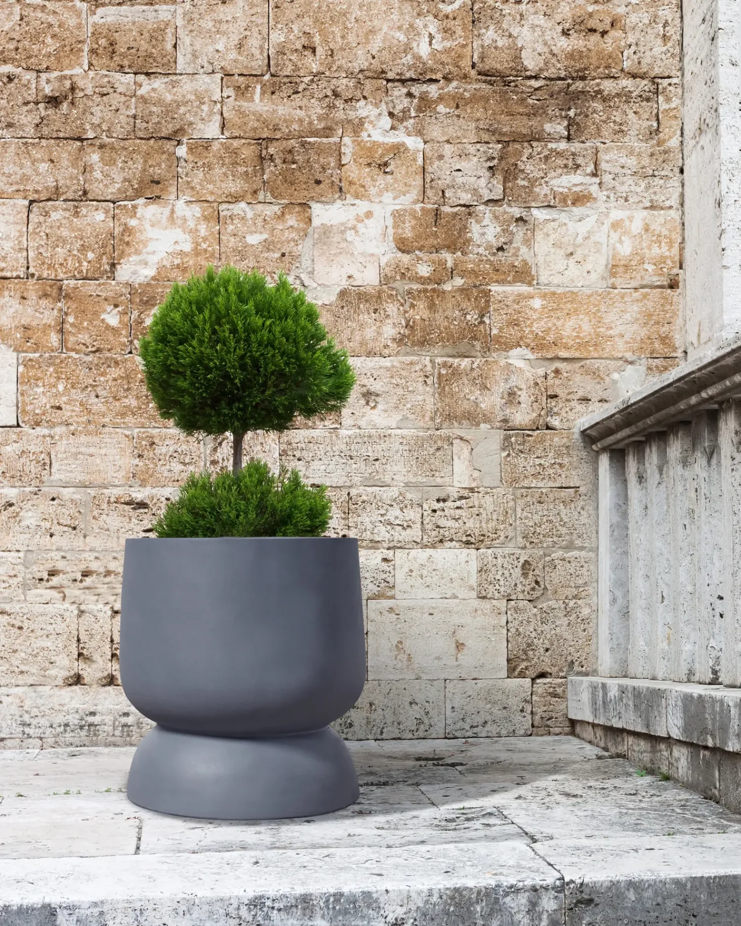 Best Beliani Vaso per piante ARAUCARIA 42 cm Grigio
