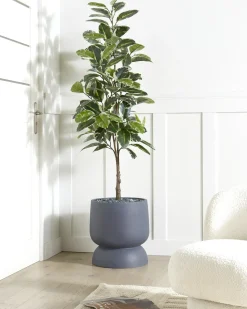 Best Beliani Vaso per piante ARAUCARIA 42 cm Grigio