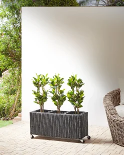 Clearance Beliani Vaso per piante BELLIS Rattan sintetico (PE) 82 cm Nero