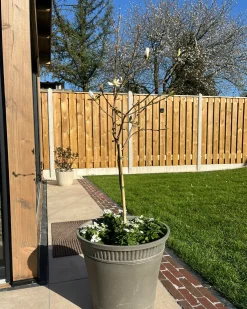 Online Beliani Vaso per piante CISTUS 44 cm Grigio