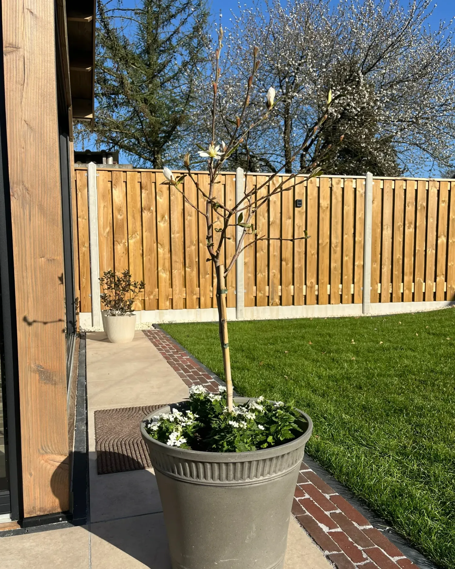 Online Beliani Vaso per piante CISTUS 44 cm Grigio