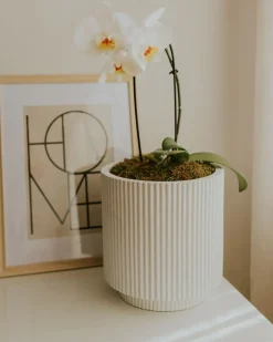 Beliani Vaso per piante DARIA sporco Bianco