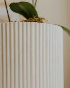 Beliani Vaso per piante DARIA sporco Bianco