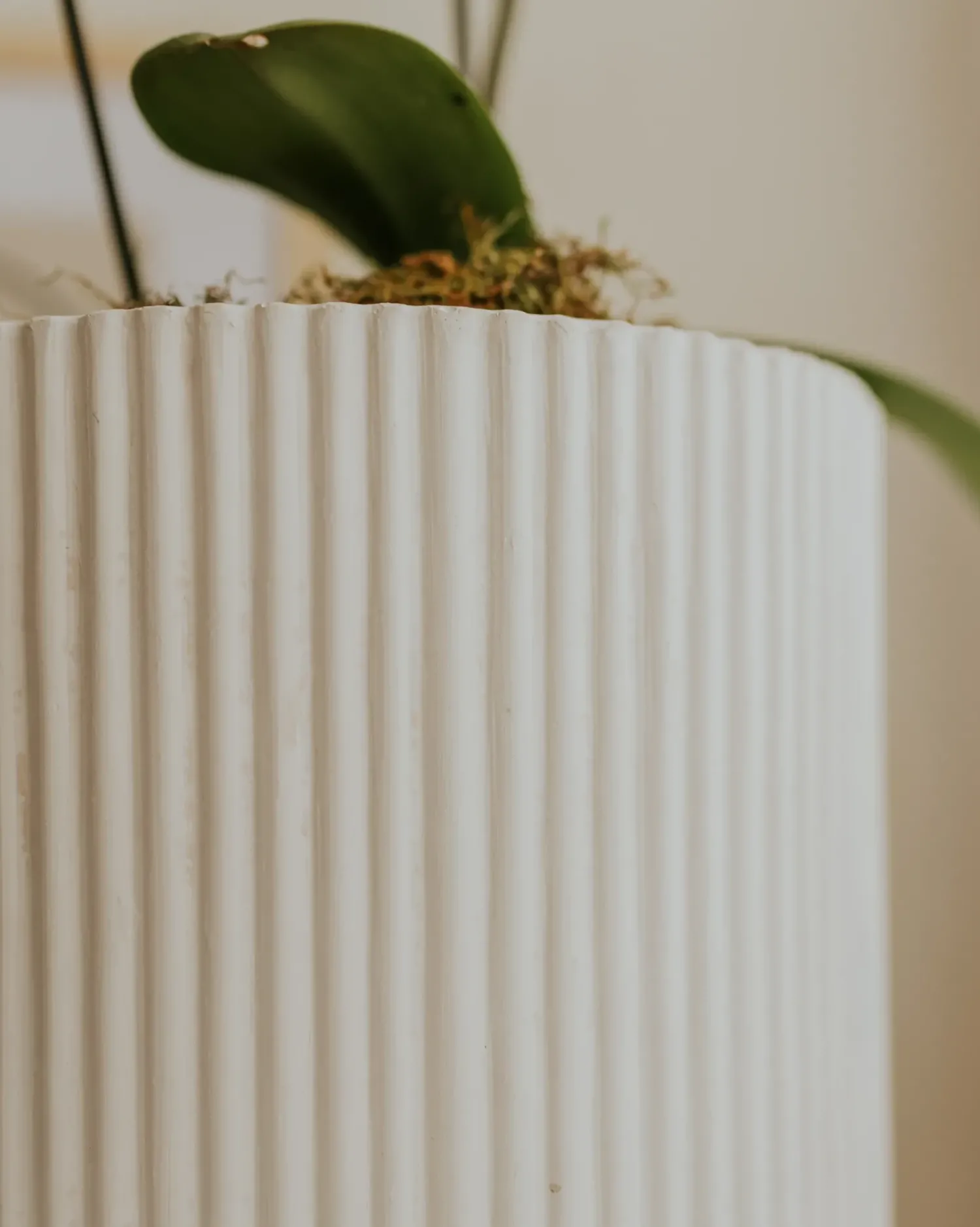 Beliani Vaso per piante DARIA sporco Bianco