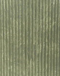Beliani Vaso per piante DARIA oliva Verde
