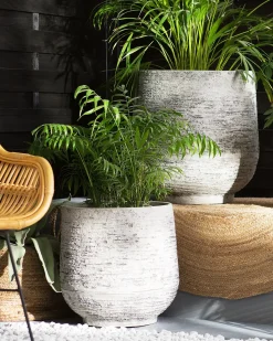 Online Beliani Vaso per piante DIONI chiaro Grigio