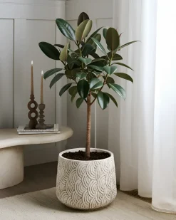 Outlet Beliani Vaso per piante ERIROS 31 cm chiaro Beige