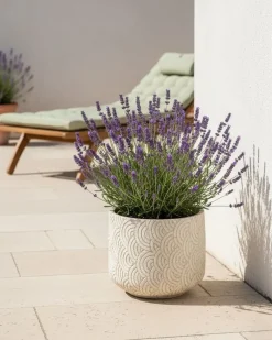 Outlet Beliani Vaso per piante ERIROS 31 cm chiaro Beige