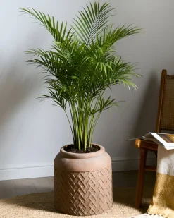 Discount Beliani Vaso per piante GERAKAS 35 cm Beige