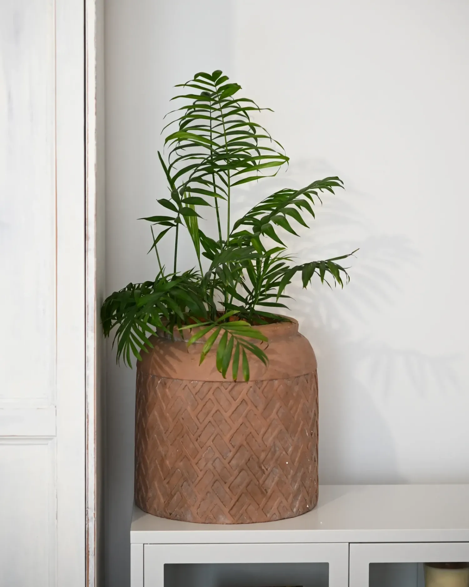 Discount Beliani Vaso per piante GERAKAS 35 cm Beige