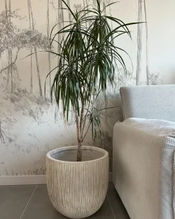 Discount Beliani Vaso per piante HANYUE 42 cm chiaro Beige