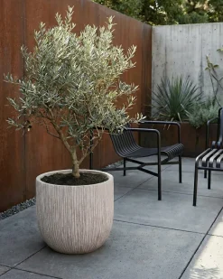 Discount Beliani Vaso per piante HANYUE 42 cm chiaro Beige