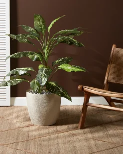 Sale Beliani Vaso per piante KANNIA Bianco sporco Beige