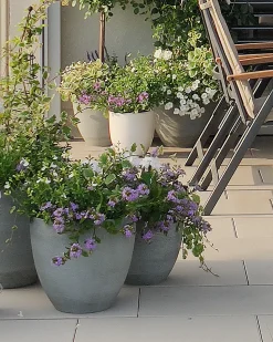 New Beliani Vaso per piante KANNIA chiaro Grigio