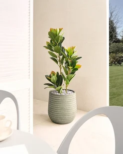Outlet Beliani Vaso per piante LIVADIA oliva Verde