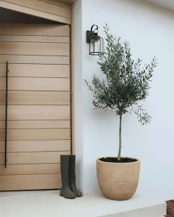 Online Beliani Vaso per piante LIXOURI 47 cm Beige