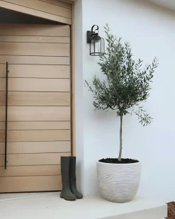 Outlet Beliani Vaso per piante LIXOURI 47 cm chiaro Grigio