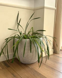 Outlet Beliani Vaso per piante LIXOURI 47 cm chiaro Grigio