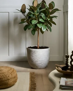 Outlet Beliani Vaso per piante LIXOURI 47 cm chiaro Grigio