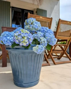 Best Beliani Vaso per piante MAIZE 43 cm Blu