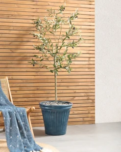 Best Beliani Vaso per piante MAIZE 43 cm Blu