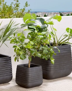 Discount Beliani Vaso per piante PARIKIA 50 cm Nero