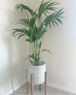 Beliani Vaso per piante rialzato PINSAPO Metallo 30 cm Grigio Marrone Grigio